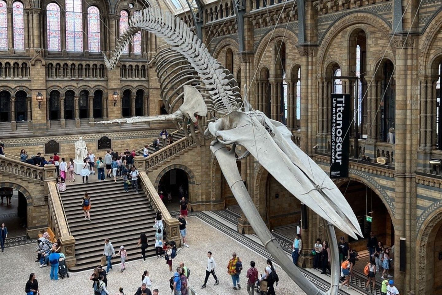 Natural_History_Museum_Noah_UGC